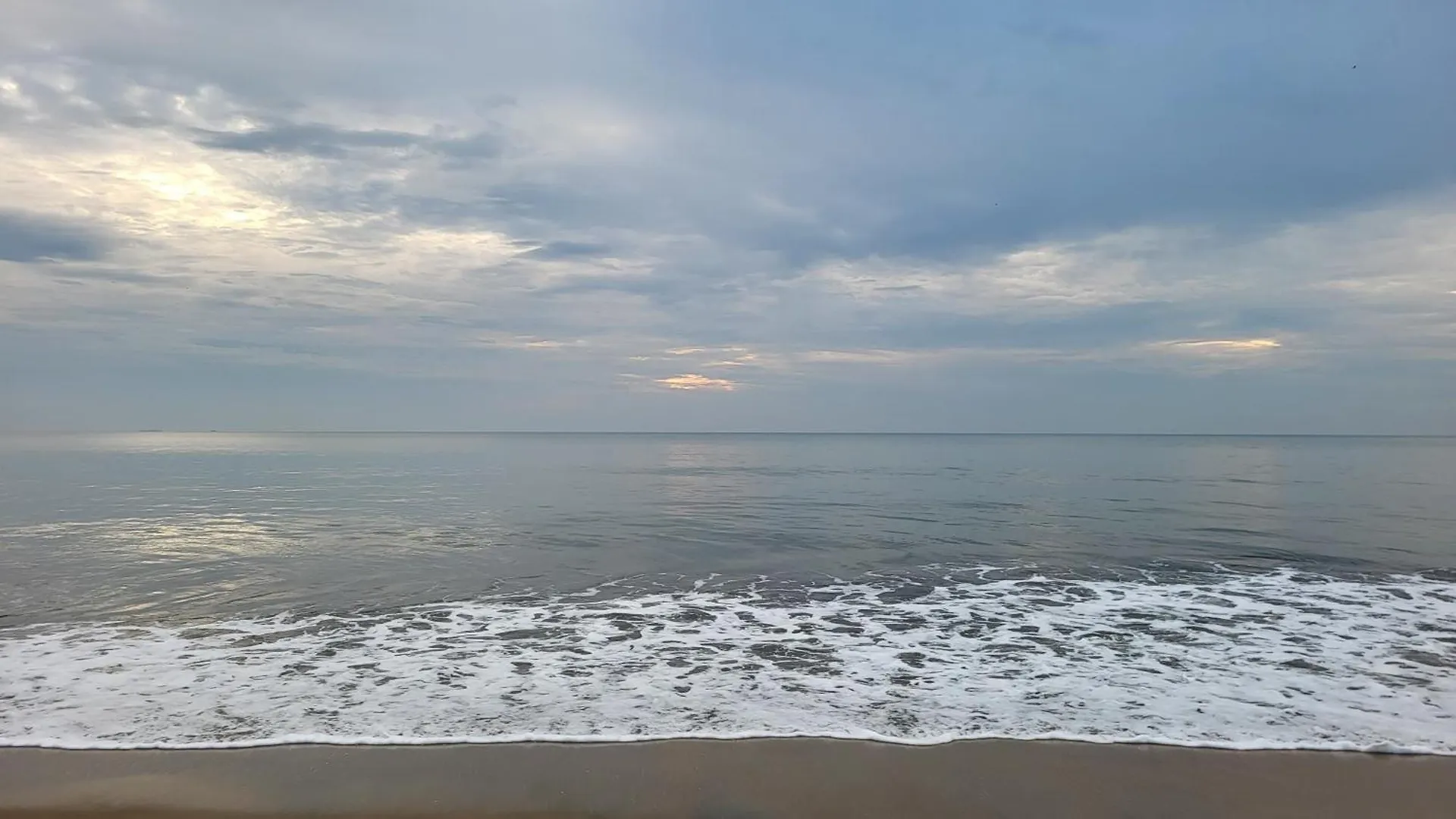 Vibe Inn Kochi